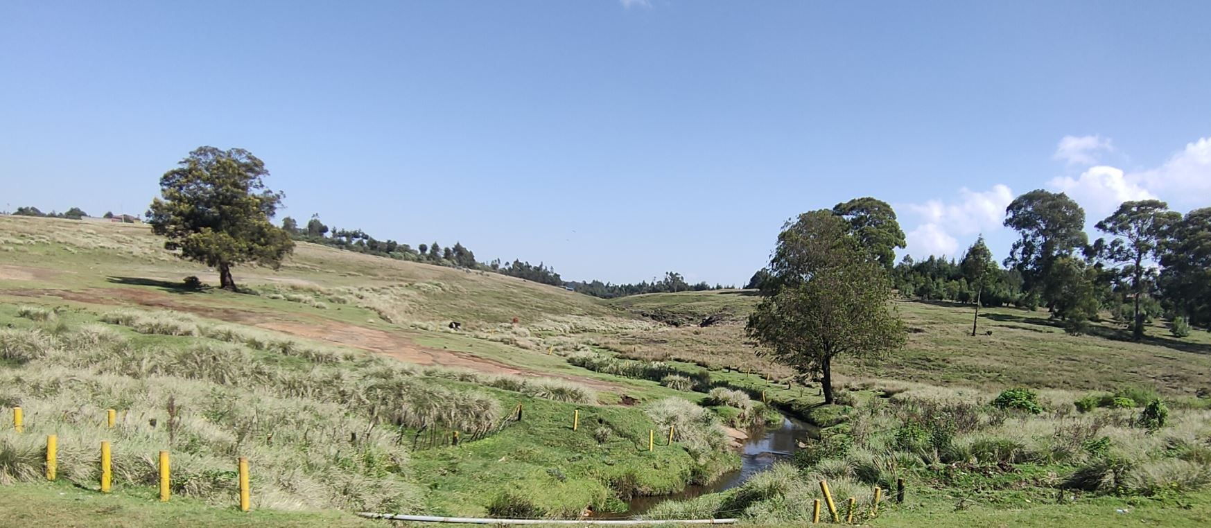Sasumua river catchment