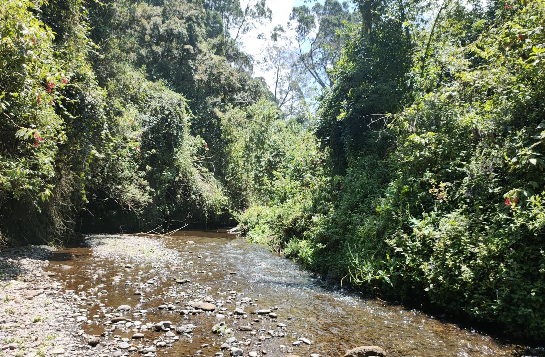 Thika River at the top