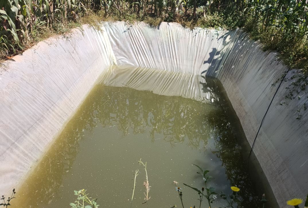 Water Pan-Jabini